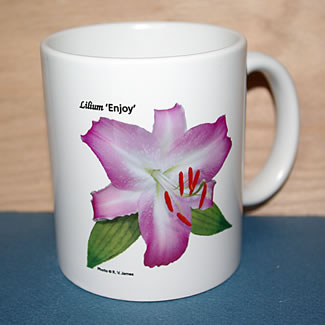 mug DS-100 Lilium Enjoy 6703.jpg